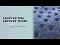 Download Lagu Chapter one / the cell /lecture three  /. Cell wall and plasma membrane