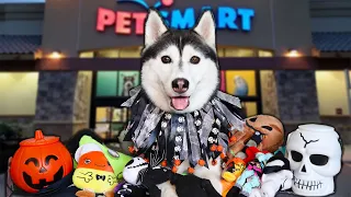 Buying My Dog Everything She Wants Halloween PetSmart Haul