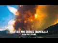 How 3D Simulations Can Help Predict the Spread of Wildfire
