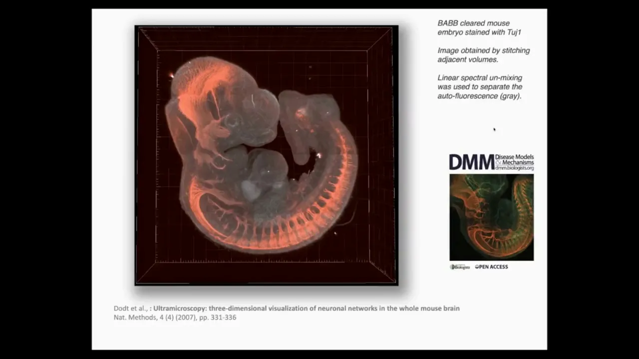 Acceleration of Neuroscience Research Discovery by Incorporation of Large..