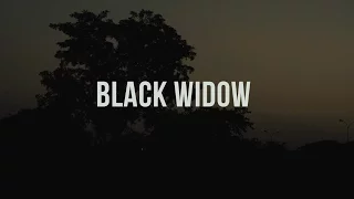 the making black widow