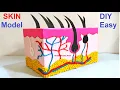 skin model 3d making using cardboard | science project | diy at home | howtofunda | still model