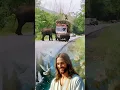 Download Lagu Jesus Help in man for Elephant 🐘🔥🙏#jesuschrist #jesus #trending #shorts #vachan #bhajan #song #love