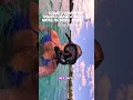 Come swim with sharks manta rays with O-Sea Bora Bora