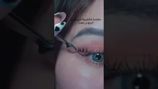 طريقة تركيب الرموش الصناعية للمبتدئين     مع رسمه ايلاينر  دندنها