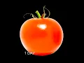 Download Lagu Rotting Tomato Timelapse (#Shorts)