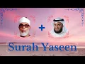 Download Lagu Mahmoud Khalil Al-Hussary + Mishary Rashid Alafasy  || Surah Yaseen ||