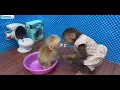 Talking about BIBI the monkey