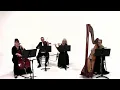 Girls Like You Bridgerton Vitamin String Quartet Elegant Harp Quartet excerpt