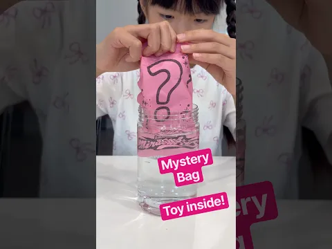 Mystery Toy Unboxing