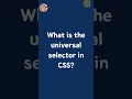 Universal selector in CSS Universal selectors