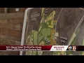 Summerfield bill passes in NC House paving way for de-annexation
