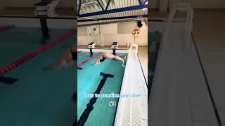 how to dive 101
