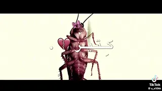 ويلي ويلي من الصراصير انا بخاف كثير كثير  ويلي ويلي من الصراصير انا بخاف كثير كثير