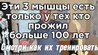 Эти 3 мышцы есть только у тех кто прожил больше 100 лет. Вот что они делали посмотри один раз