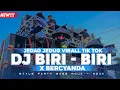 Download Lagu DJ BIRI BIRI SAYA DAH HILANG JARJIT VERSI PARTY VIRAL TIK TOK X BERSYANDAH