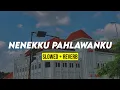 Download Lagu NENEKKU PAHLAWANKU koplo (slowed + reverb) dengan lirik lagu