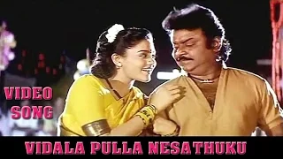 vidala pulla hd song periya maruthu vijayakanth ranjitha