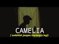 Download Lagu sudahlah jangan menangis lagi ku rasa cukup sampai disini /IRWANSYAH - CAMELIA (Cover agusriansyah)