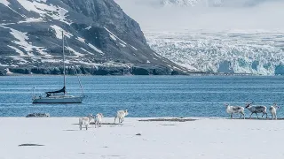 Sailing Arctic Norway – We got REINDEER, seals and a broken outboard… [ep15]
