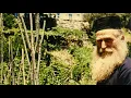 Download Lagu Sf. Dionisie de la Colciu - Slava Vecerniei, Gl.6