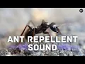 Download Lagu Ant Repellent Sound