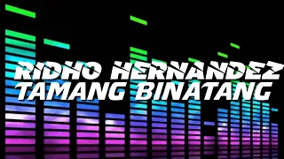 DJ VIRAL TAMANG BINATANG RIDHO HERNANDEZ(VIRAL TIK TOK)2020