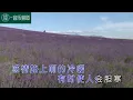 酒梦【白冰冰】经典歌曲 经典老歌|中文歌曲|华语歌曲|流行歌曲|老哥金曲|老歌|经典华语流行歌曲|老歌经典|华语老歌|华语经典歌曲