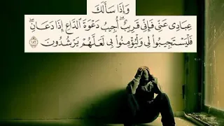 وإذا سألك عبادي عني فإني قريب   سورة البقرة  القارئ مشاري راشد العفاسي دندنها