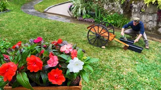 3 Creative Ideas to Decorate Your Garden with Flowers!🌹🌿
