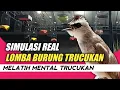 SUASANA REAL SIMULASI LOMBA TRUCUKAN UNTUK MELATIH MENTAL