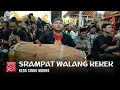 Download Lagu GLER TENAN ‼️ SRAMPAT WALANG KEKEK SAMSUL KENDANG DUET KANG JANTRI SLOMPRET REOG