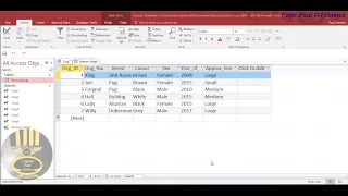 Using SQL Select Command in Microsoft Access