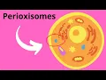 Peroxisomes Structure and Function
