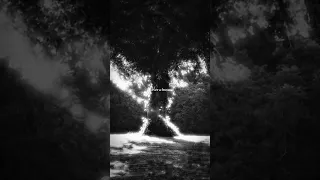 Golden Brown The Stranglers Lyrics Music Aestheic Edit  Golden Brown The Stranglers Lyrics Music Aestheic Edit