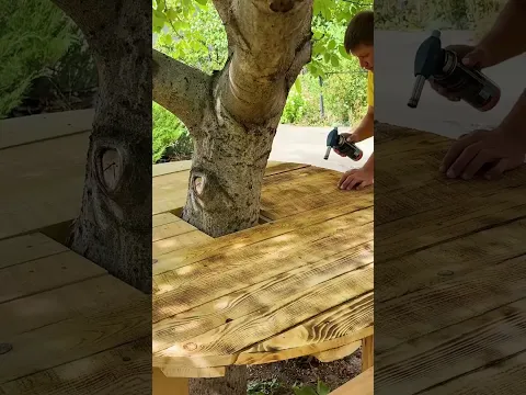 Relaxing Tree Bench