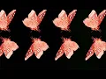 Hernan Cattaneo & Soundexile - Butterfly Effect (Future Mix)