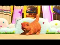 Get the Pet Wet l Nursery Rhymes & Kids Songs