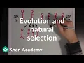 Evolution and natural selection Biomolecules MCAT Khan Academy