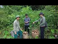 Download Lagu The kind man led Tran Cong to the new land, rebuild life from scratch
