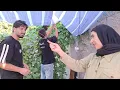 Reza Parisa and Ziba are making a shade tree