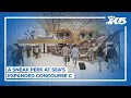An early look at SEA Airport s expanded C Concourse