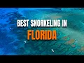 14 Best Snorkeling Spots In Florida Hidden Gems Local Favorites