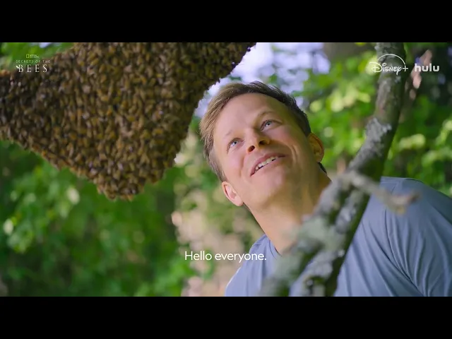 I Segreti delle Api | Trailer Internazionale