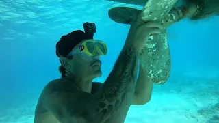 Sailing to the bay for some underwater repairs (diving in clear water!)