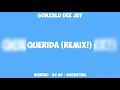 Querida (Remix!) ✘ Gonzalo Dee Jay ✘ TAMBO TAMBO