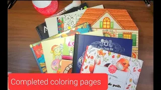 Completed pages November 2025 Adult Coloring