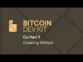 Bitcoin Dev Kit CLI Part 3 Creating Wallets