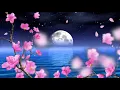 Beautiful, moon, peach blossom, lake water photography&video background
