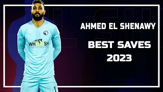 احمد الشناوي حارس مرمي بيراميدز 